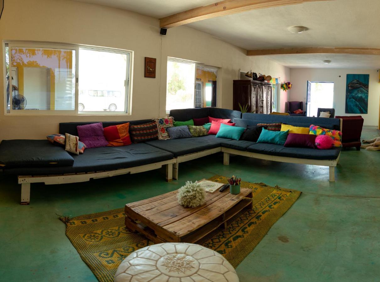 לה פז Peace Hostel Mx מראה חיצוני תמונה