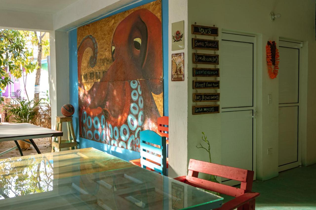 לה פז Peace Hostel Mx מראה חיצוני תמונה