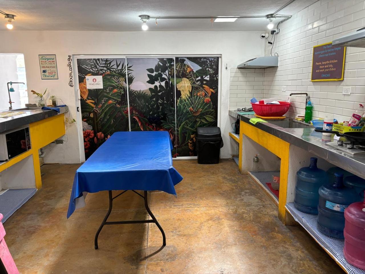 לה פז Peace Hostel Mx מראה חיצוני תמונה
